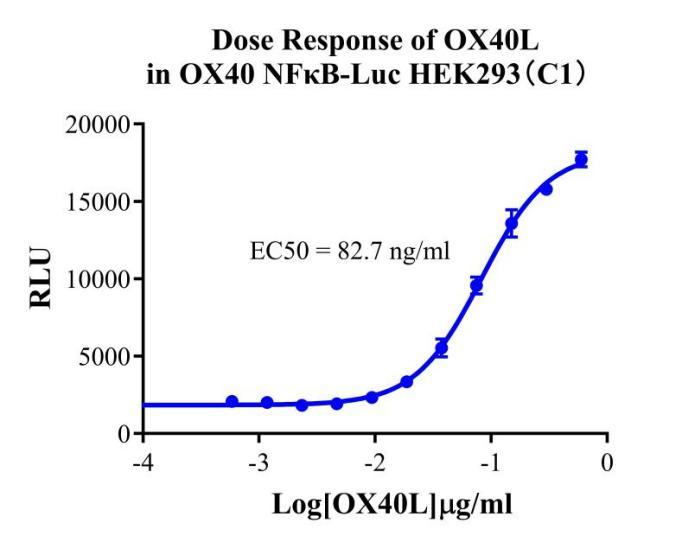HEK293 Human OX40/NFκB-Luc Cell