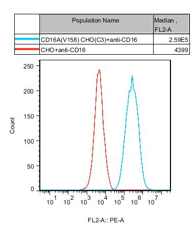 CHO-K1 Human CD16A(V158) Cell