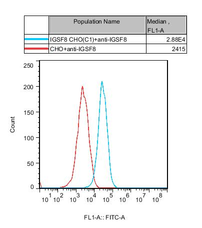 CHO-K1 Human IGSF8 Cell