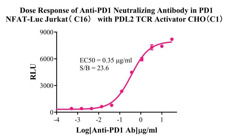 Jurkat E6.1 Human PD1/NFAT-Luc Cell