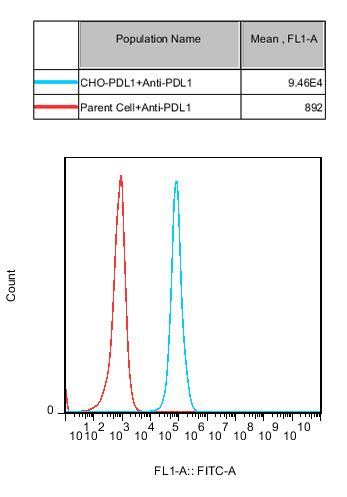 CHO-K1 Human PDL1 Cell