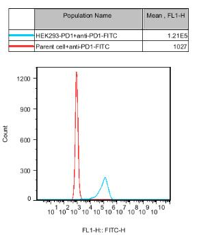 HEK293 Human PD1 Cell