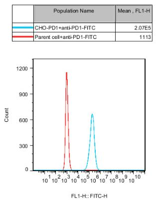 CHO-K1 Human PD1 Cell