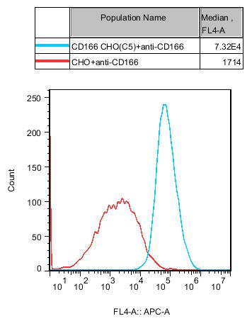 CHO-K1 Human CD166 Cell