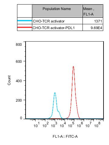 CHO-K1 Human PDL1/TCR Activator Cell