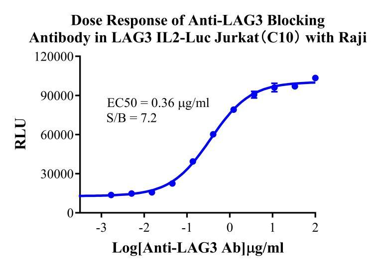 Jurkat E6.1 Human LAG3/IL-2-Luc Cell