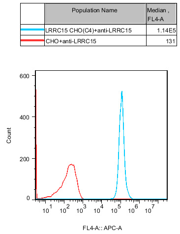 CHO-K1 Human LRRC15 Cell