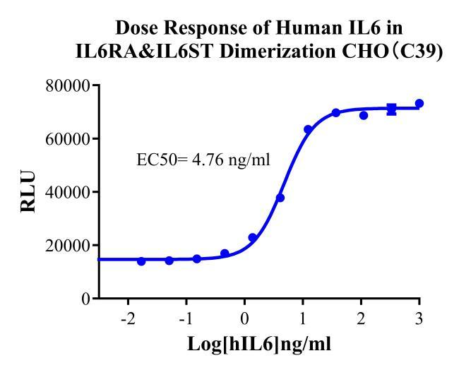 CHO-K1 Human IL6RA&IL6ST Dimerization Cell