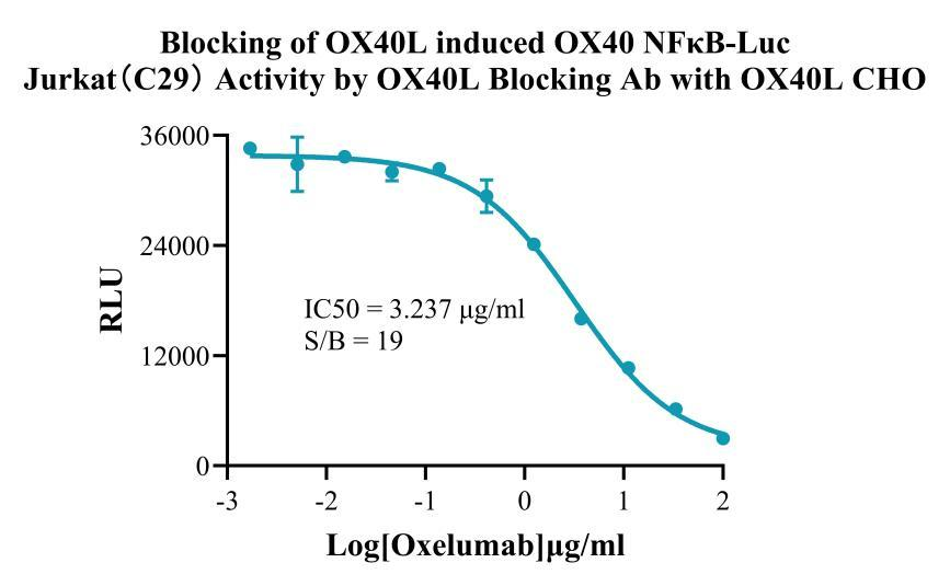 CHO-K1 Human OX40L Cell