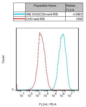 CHO-K1 Human IRB Cell