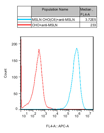 CHO-K1 Human MSLN Cell