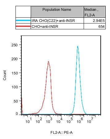 CHO-K1 Human IRA Cell
