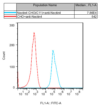 CHO-K1 Human Nectin4 Cell
