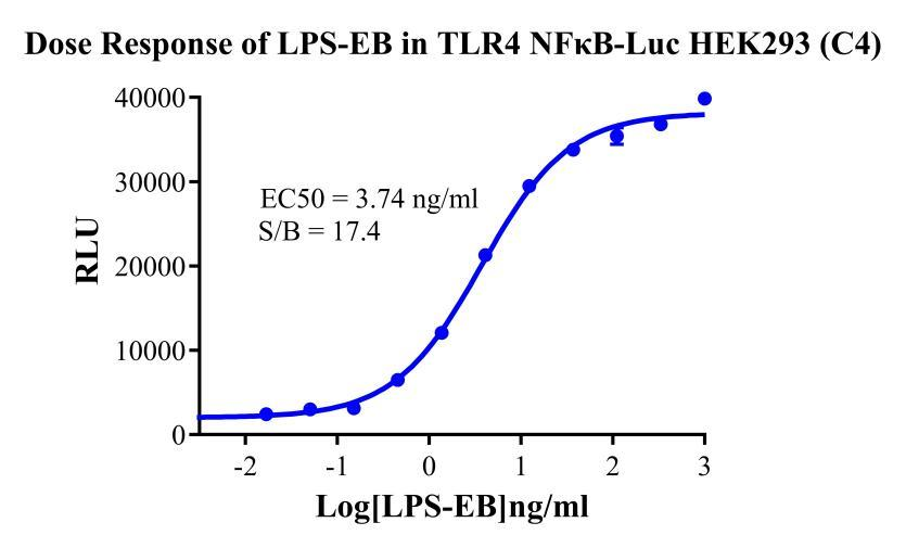 HEK293 Human TLR4/NFκB-Luc Cell