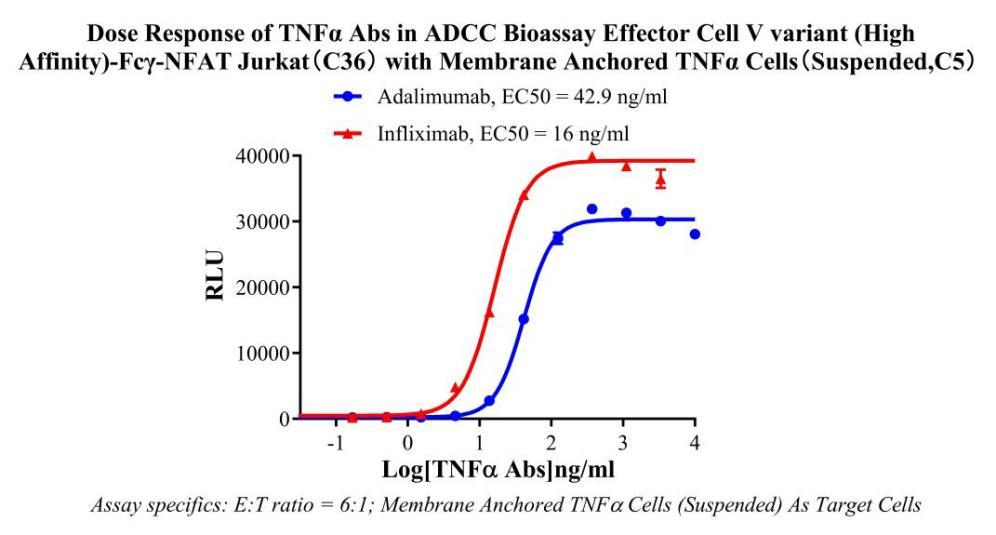 Jurkat E6.1 Human Membrane Anchored TNFα Cell (Suspended)