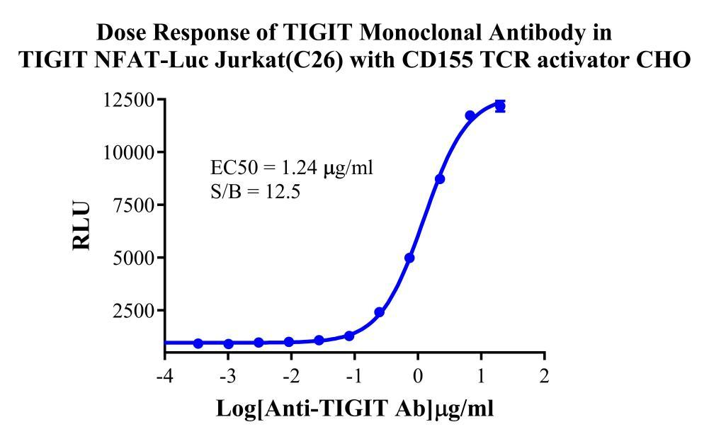 Jurkat E6.1 Human TIGIT/NFAT-Luc Cell