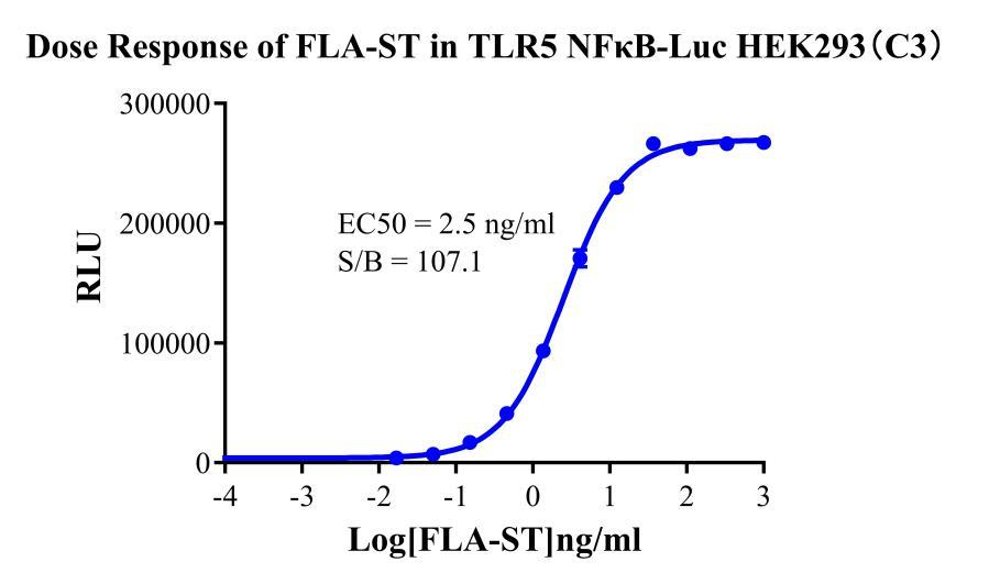 HEK293 Human TLR5/NFκB-Luc Cell