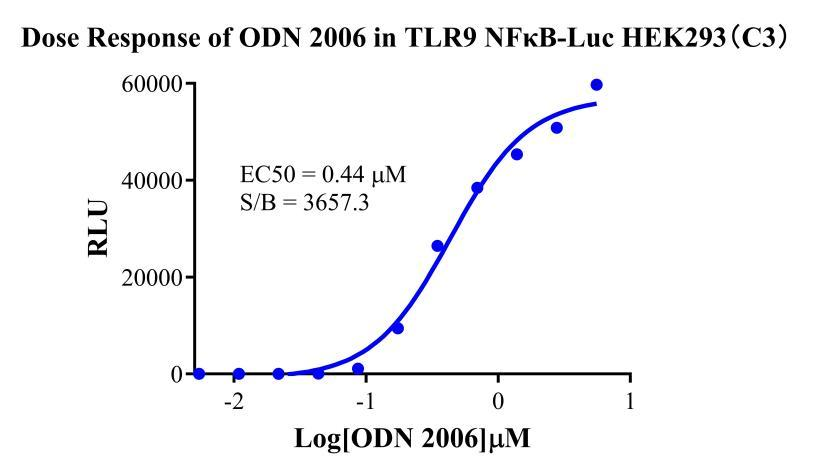 HEK293 Human TLR9/NFκB-Luc Cell