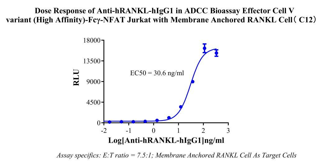 CHO-K1 Human Membrane Anchored hRANKL Cell