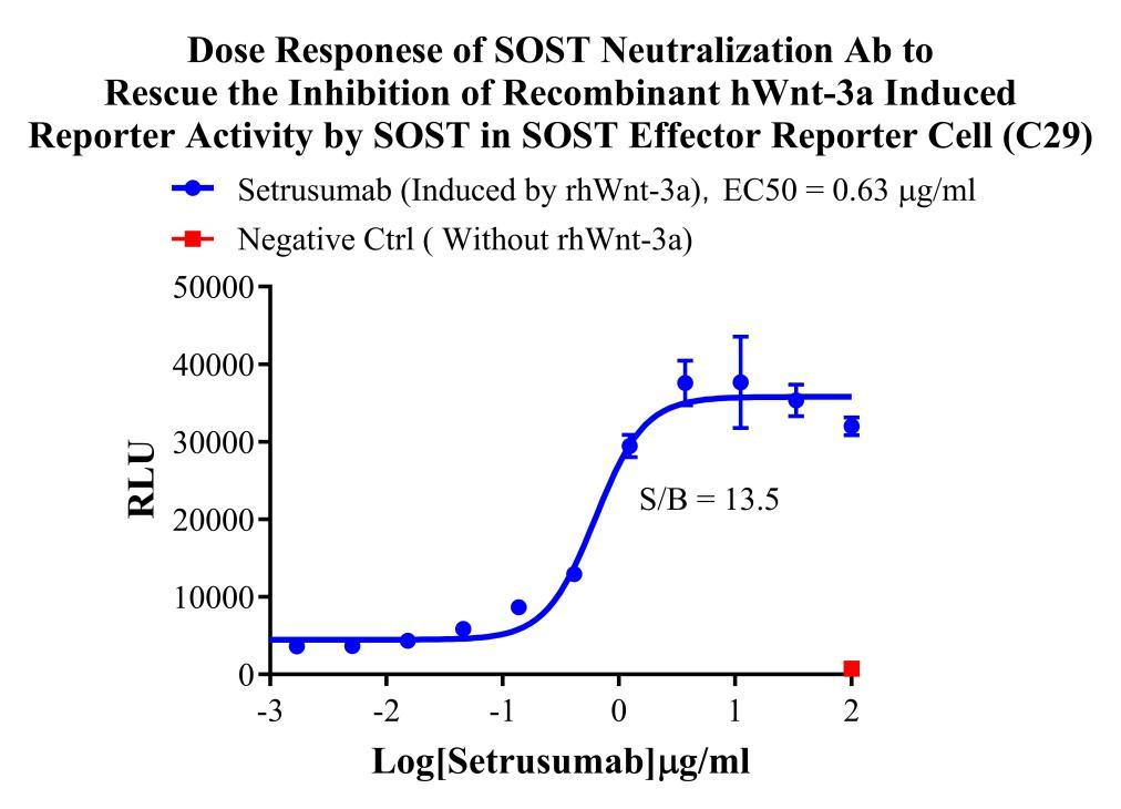 HEK293 Human SOST Effector Reporter Cell