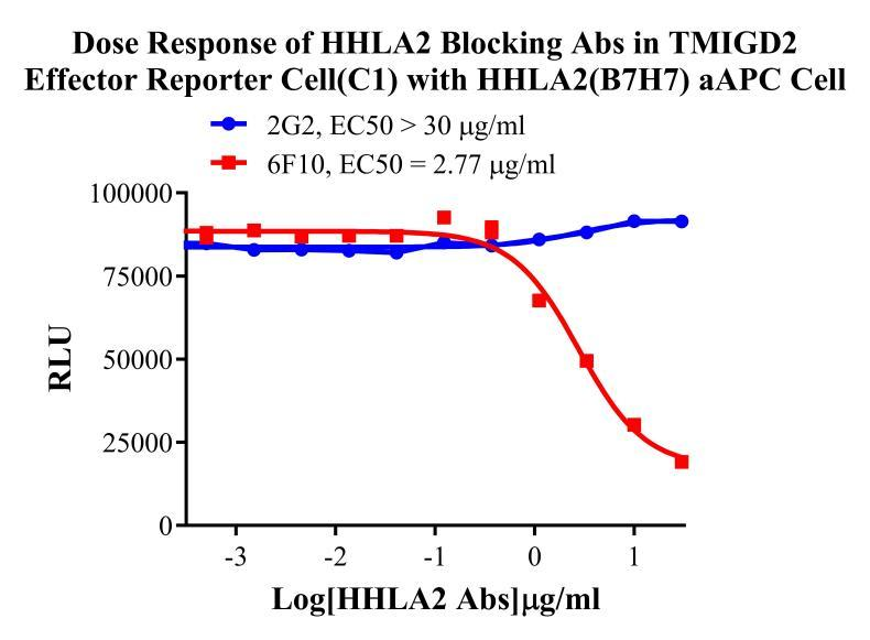 Jurkat E6.1 Human TMIGD2 Effector Reporter Cell