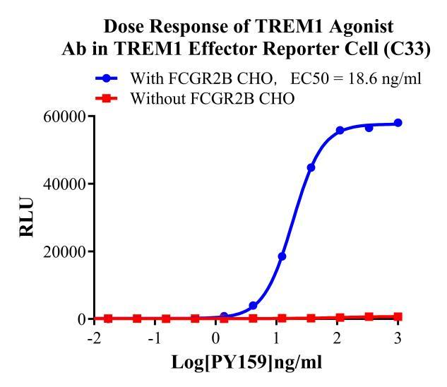 Jurkat E6.1 Human TREM1 Effector Reporter Cell