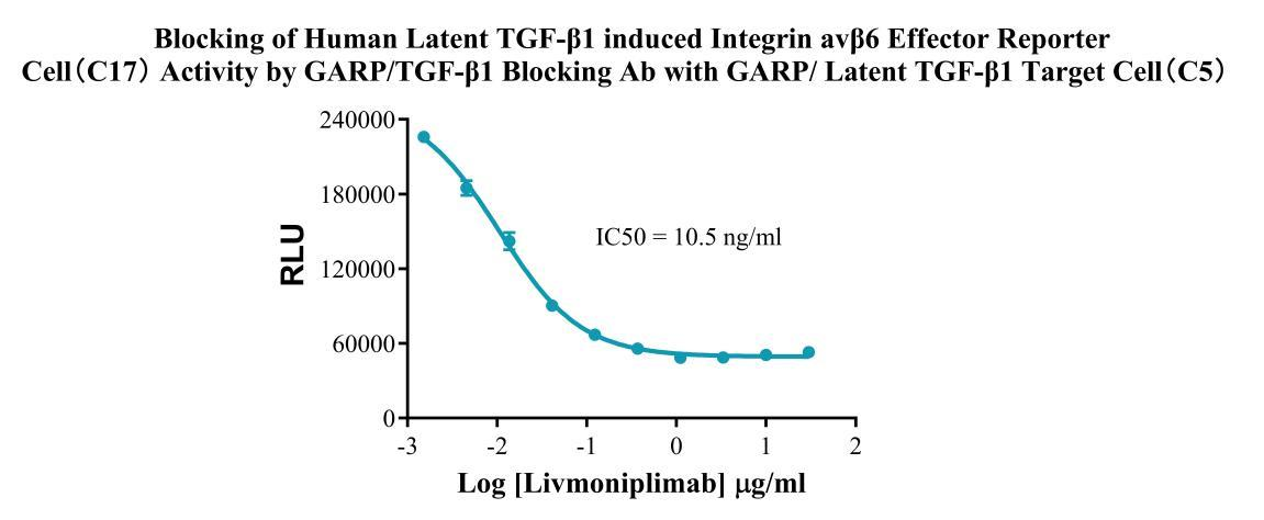 Jurkat E6.1 Human GARP/Latent TGF-β1 Target Cell