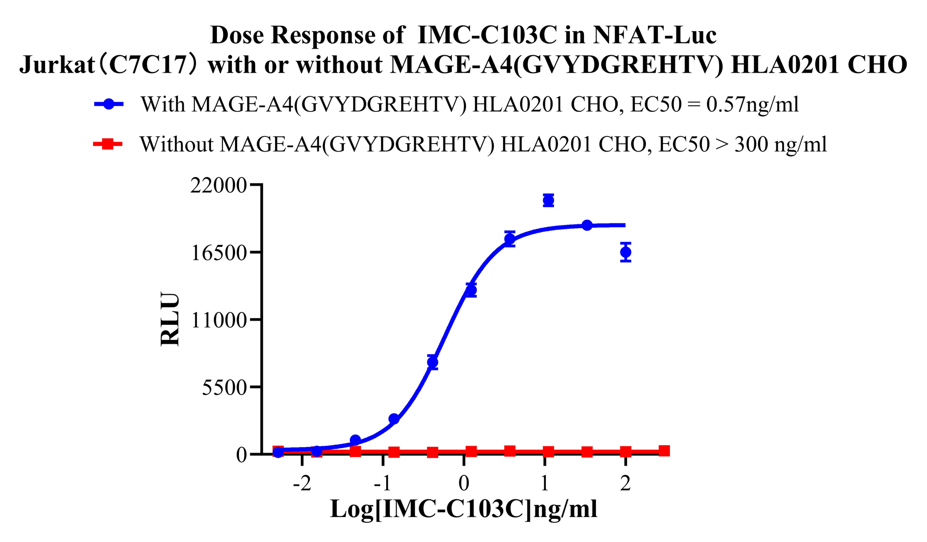 CHO-K1 Human MAGE-A4(GVYDGREHTV) HLA0201 Cell