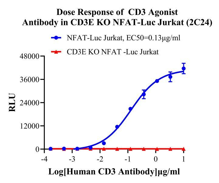 Jurkat E6.1 Human CD3E KO NFAT-Luc Cell