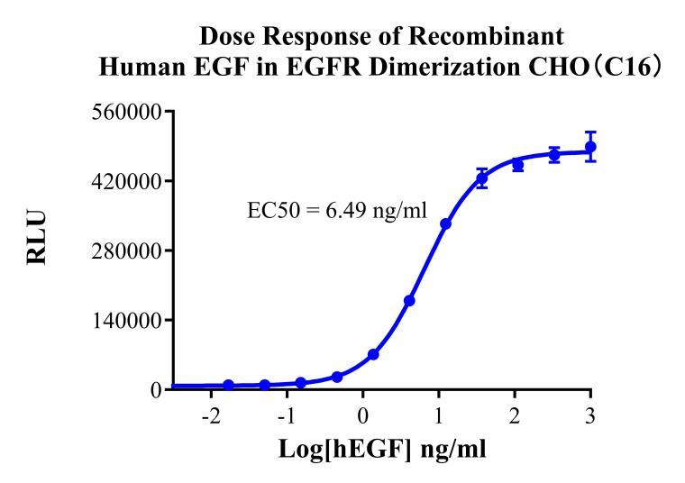 CHO-K1 Human EGFR Dimerization Cell