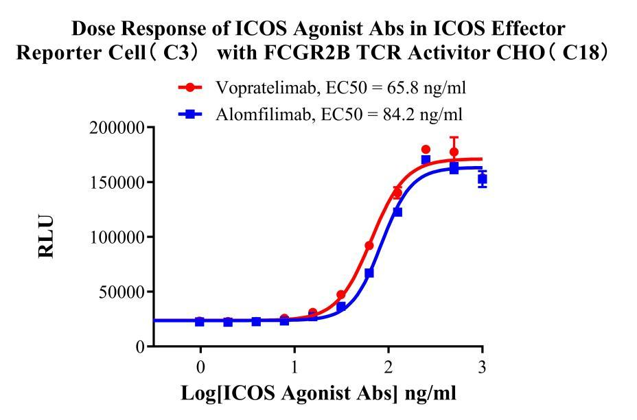 Jurkat E6.1 Human ICOS Effector Reporter Cell Cell