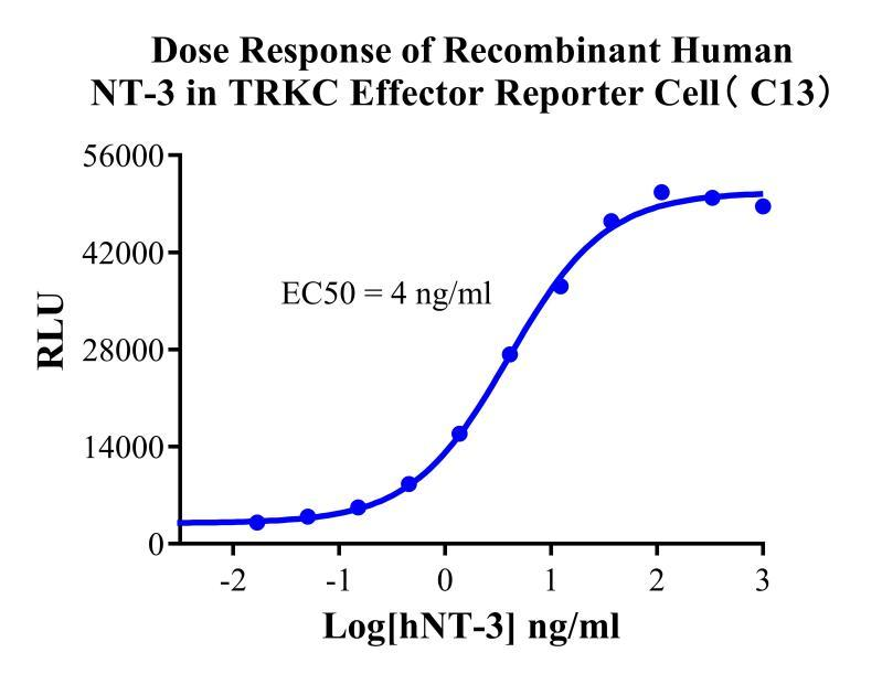 TRKC Effector Reporter Cell