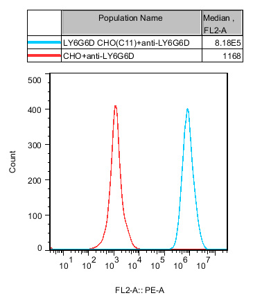 CHO-K1 Human LY6G6D Cell