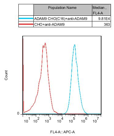 CHO-K1 Human ADAM9 Cell