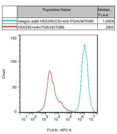 HEK293 Human Integrin avβ6 Cell