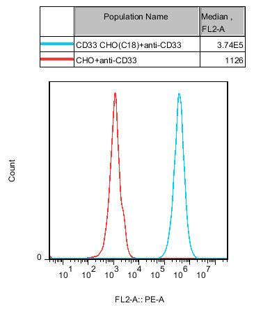 CHO-K1 Human CD33 Cell