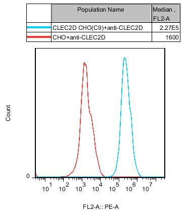 CHO-K1 Human CLEC2D Cell