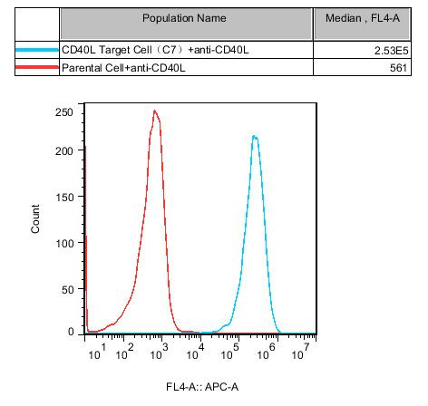 Jurkat E6.1 Human CD40L Target Cell
