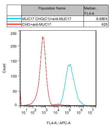 CHO-K1 Human MUC17 Cell