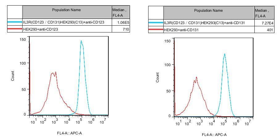 HEK293 Human IL3R(CD123/CD131) Cell
