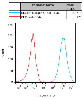 CHO-K1 Human CD44v6 Cell