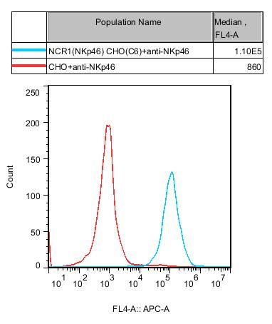 CHO-K1 Human NCR1(NKp46) Cell