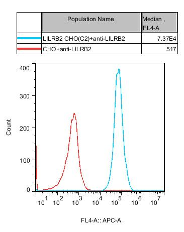 CHO-K1 Human LILRB2 Cell