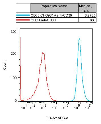 CHO-K1 Human CD30 Cell