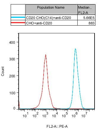 CHO-K1 Human CD20 Cell