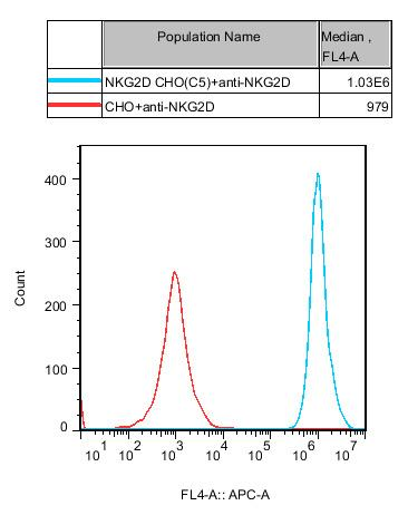 CHO-K1 Human NKG2D Cell