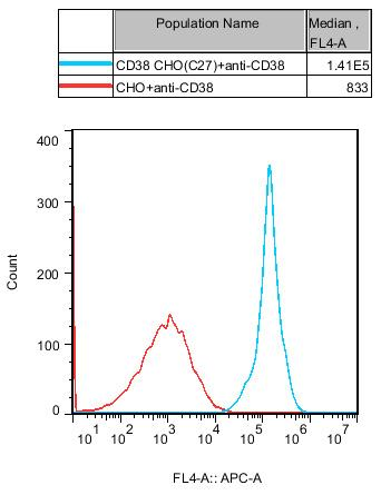 CHO-K1 Human CD38 Cell