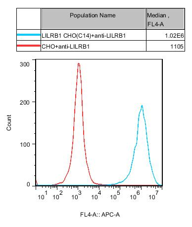 CHO-K1 Human LILRB1 Cell