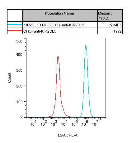 CHO-K1 Human KIR2DL5B Cell