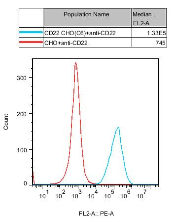 CHO-K1 Human CD22 Cell